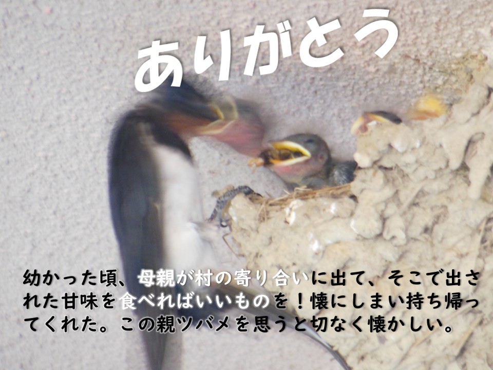ꂿI肪Ƃ@肪Ƃ@܁@܁@lTX@ܖ@@C^[lbgܖ