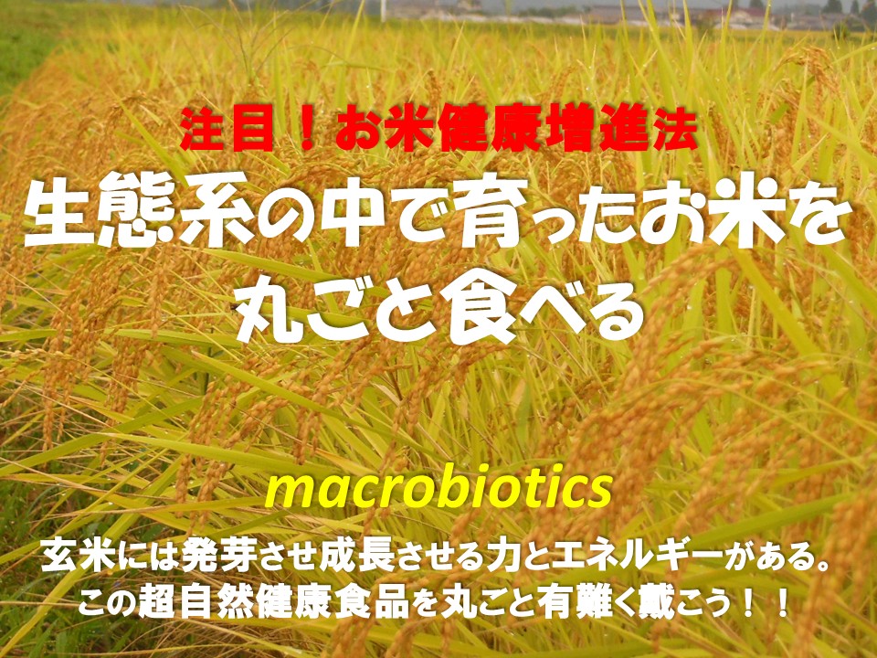 戦後改革期の農業問題―埼玉県を事例として (shin - その他