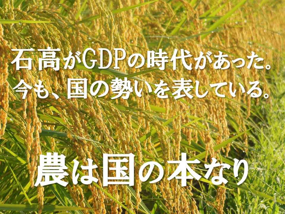 令和の農業改革 10町歩GX・ DX営農構想 農業を生態系に戻す