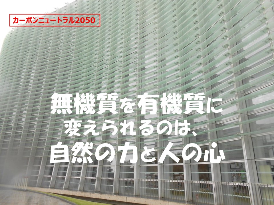 O̐ 肪Ƃ@܁@