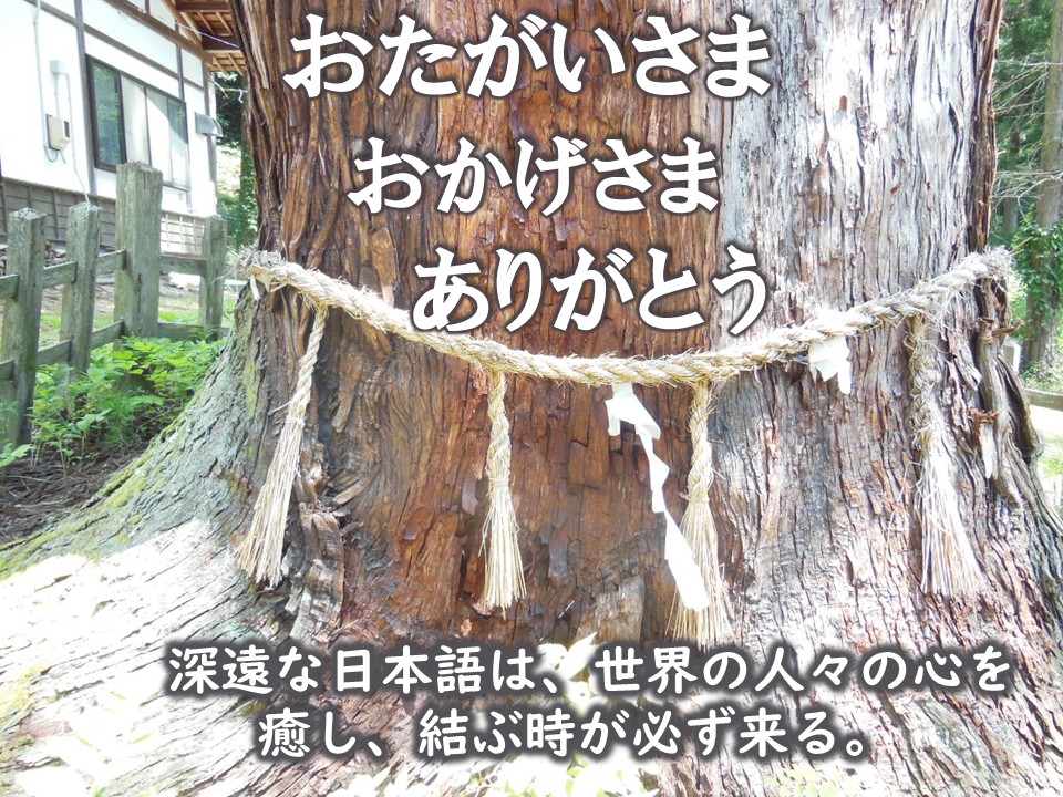 O̐ 肪Ƃ@܁@ World Peace