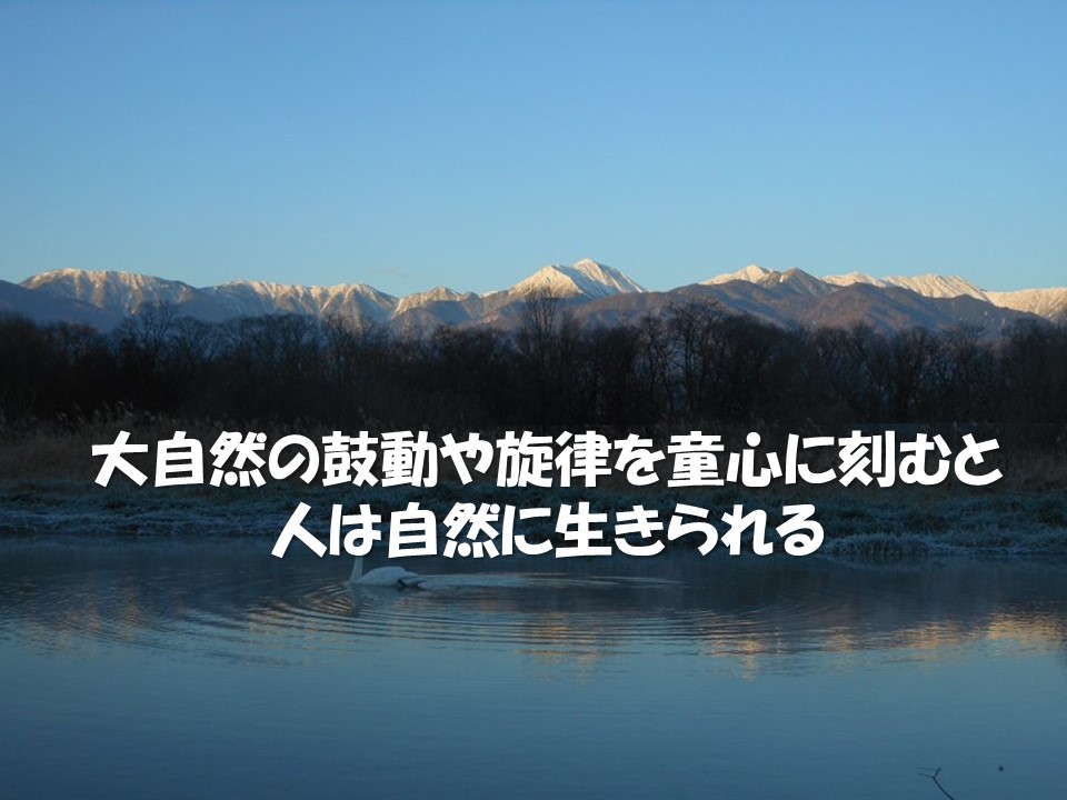 l̒ց@R̒  {l̎Rρ@Fρ@ϗρ@C^[lbgܖ